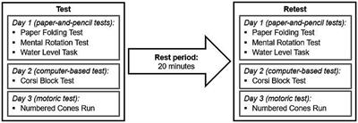 Consistency of spatial ability performance in children, adolescents, and young adults